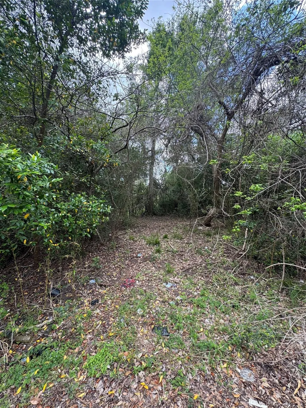 County Road 898 West Columbia, TX 77486