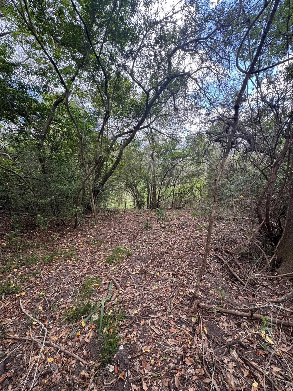 County Road 898 West Columbia, TX 77486