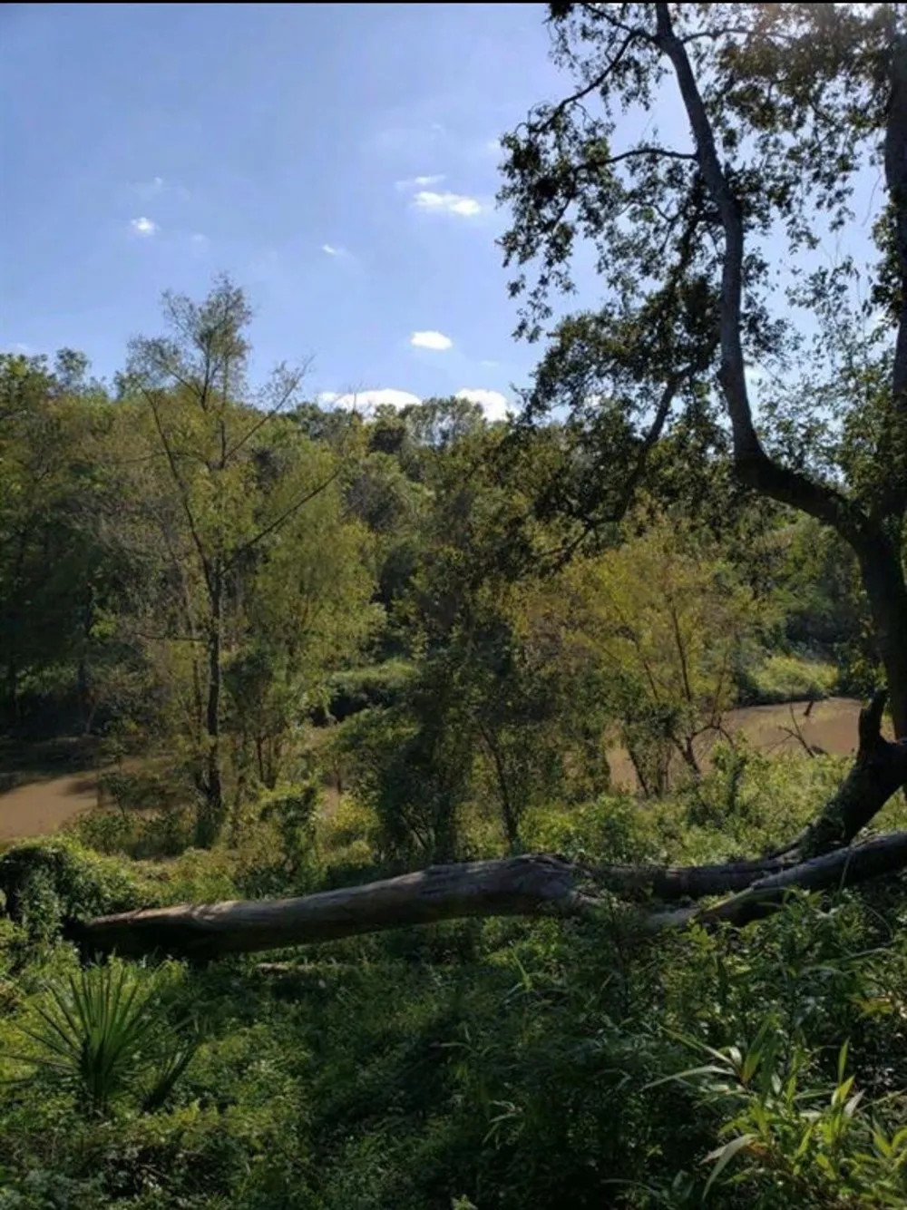 County Road 898 West Columbia, TX 77486