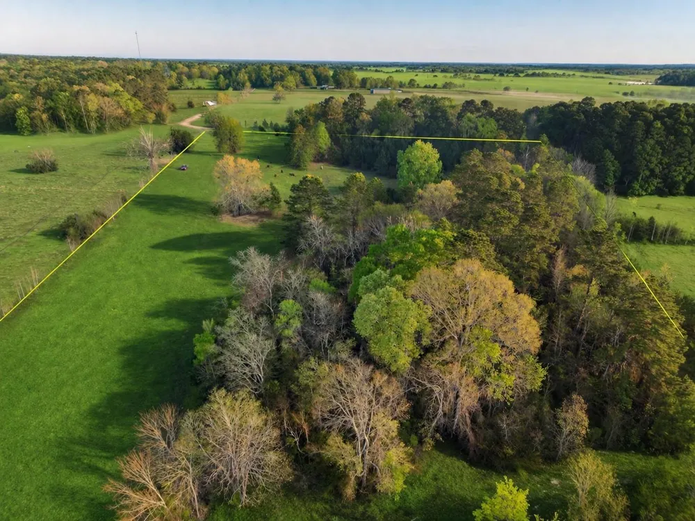 Denson Allen Road Coldspring, TX 77331