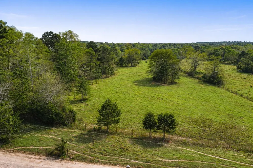 Denson Allen Road Coldspring, TX 77331
