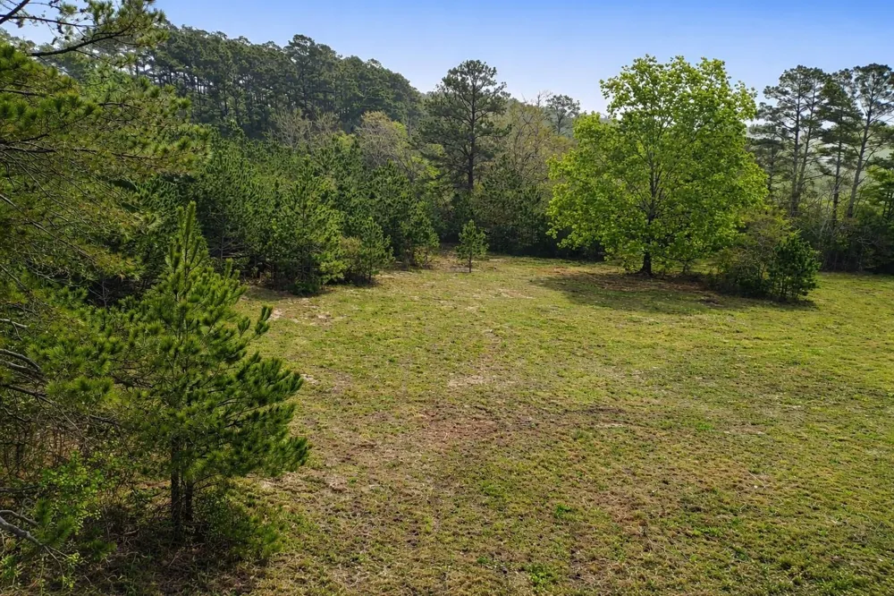 Denson Allen Road Coldspring, TX 77331