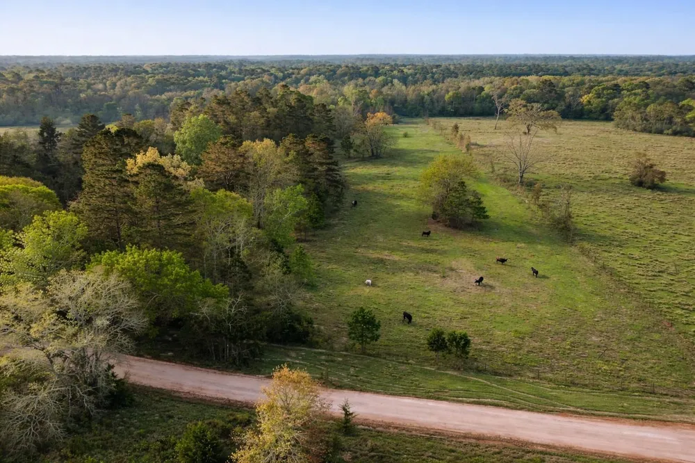 Denson Allen Road Coldspring, TX 77331