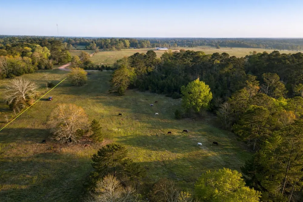 Denson Allen Road Coldspring, TX 77331