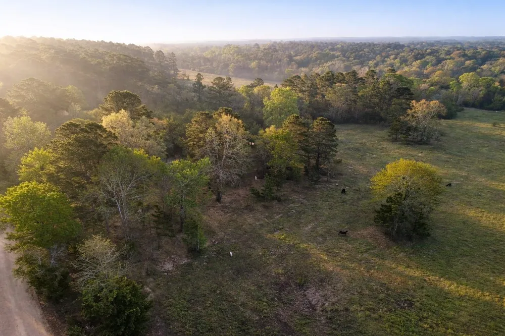 Denson Allen Road Coldspring, TX 77331