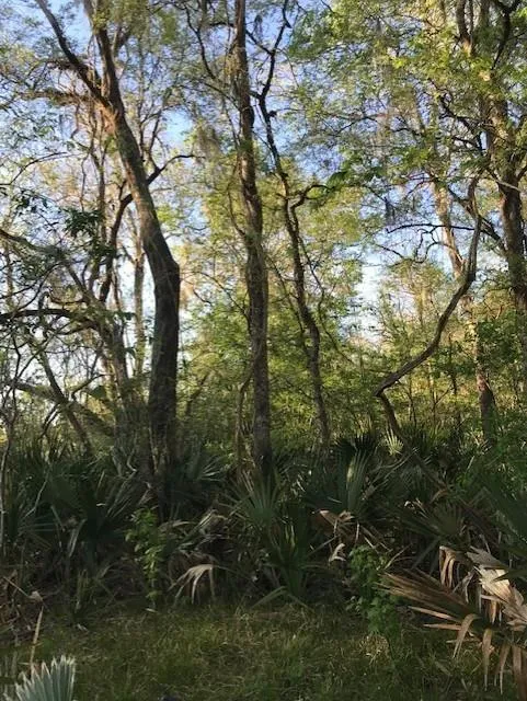 E Live Oak Road Van Vleck, TX 77482