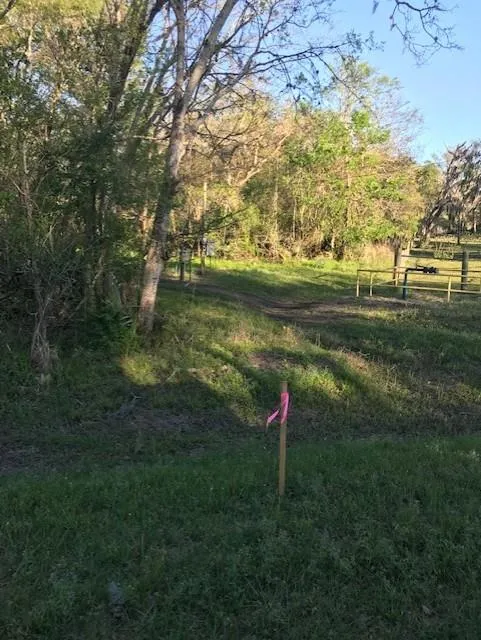 E Live Oak Road Van Vleck, TX 77482