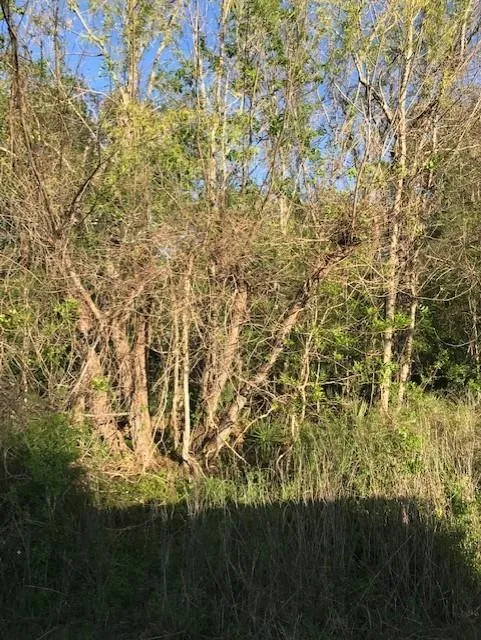 E Live Oak Road Van Vleck, TX 77482