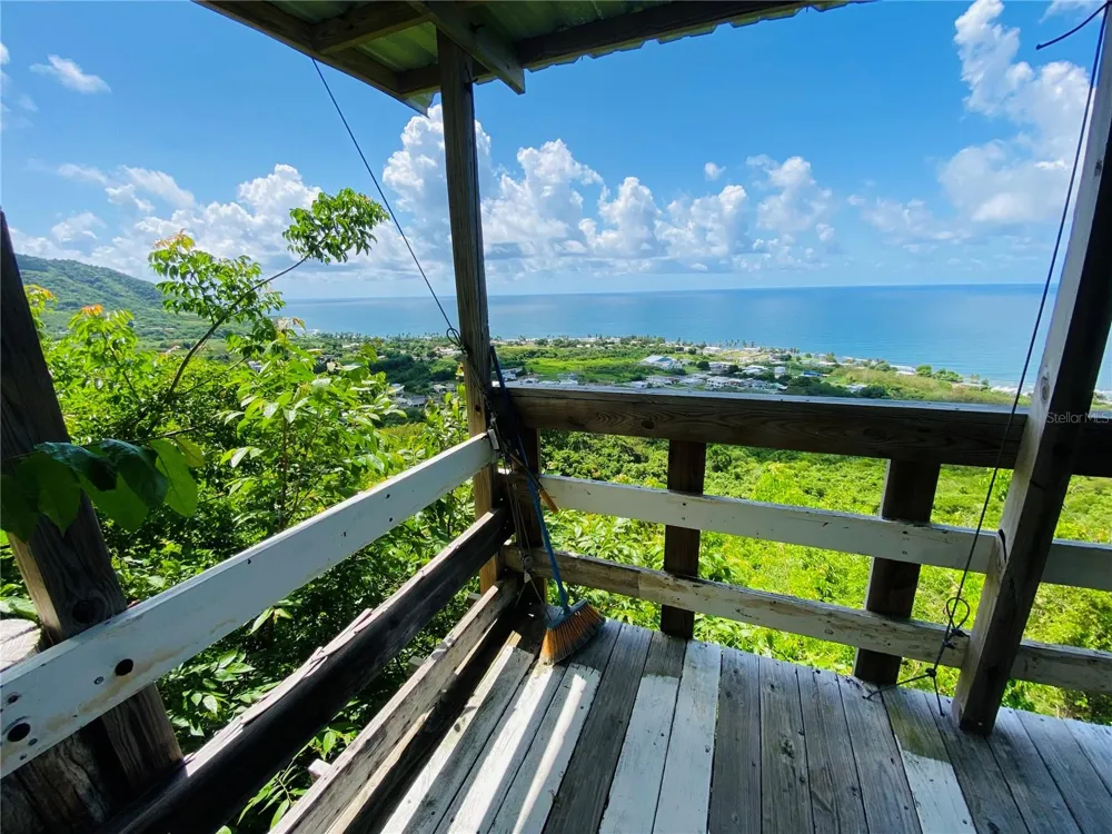 FARM AMAZING OCEAN VIEW Patillas, PR 00723