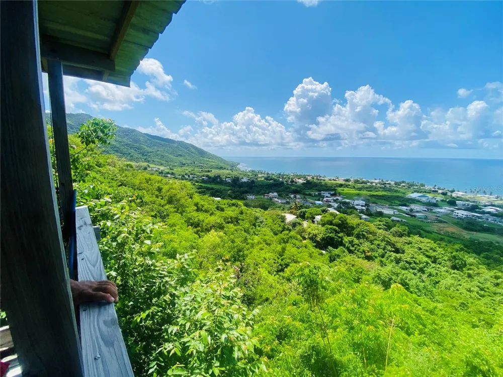 FARM AMAZING OCEAN VIEW Patillas, PR 00723
