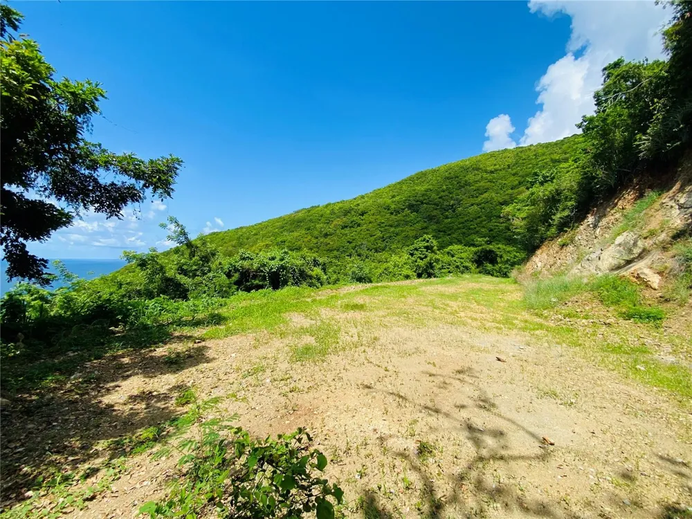 FARM AMAZING OCEAN VIEW Patillas, PR 00723