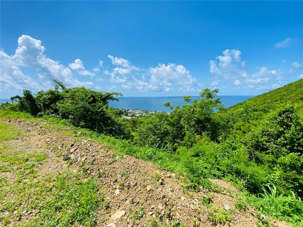 FARM AMAZING OCEAN VIEW Patillas, PR 00723