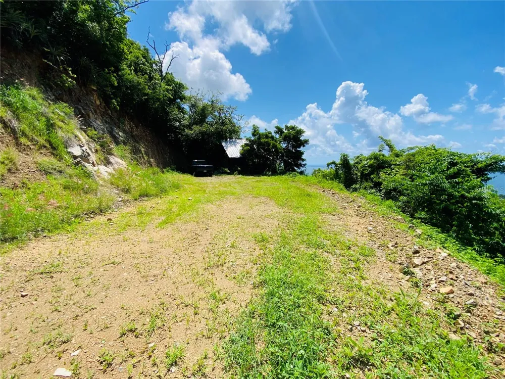 FARM AMAZING OCEAN VIEW Patillas, PR 00723