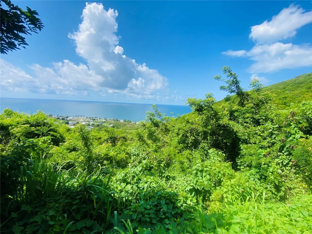 FARM AMAZING OCEAN VIEW Patillas, PR 00723