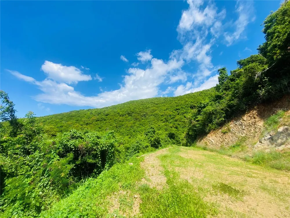FARM AMAZING OCEAN VIEW Patillas, PR 00723