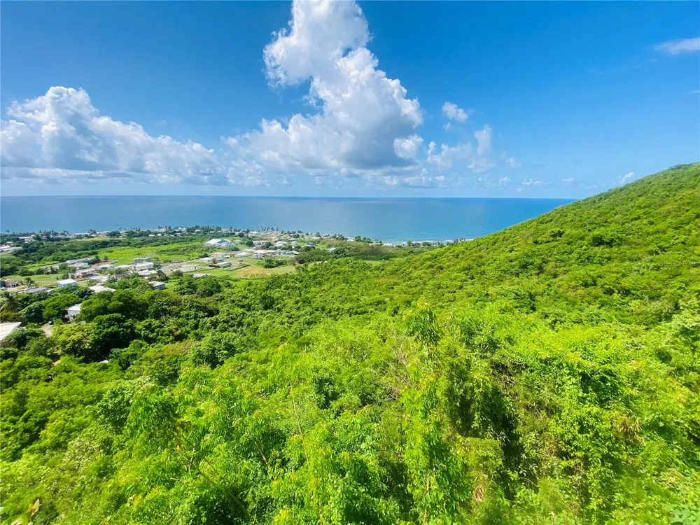 FARM AMAZING OCEAN VIEW Patillas, PR 00723