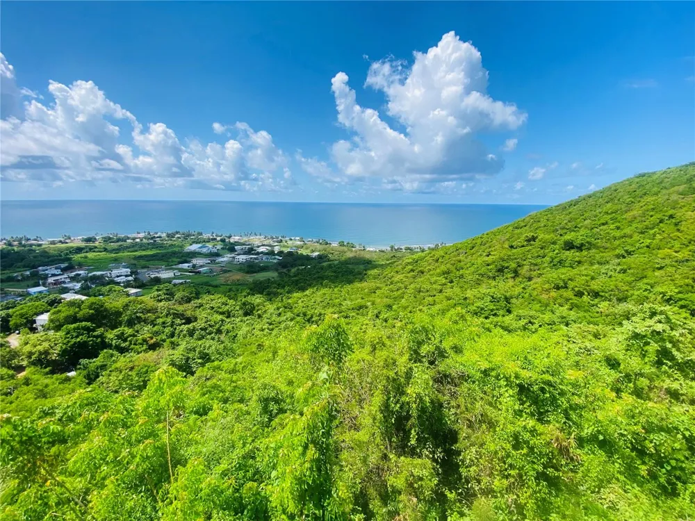 FARM AMAZING OCEAN VIEW Patillas, PR 00723