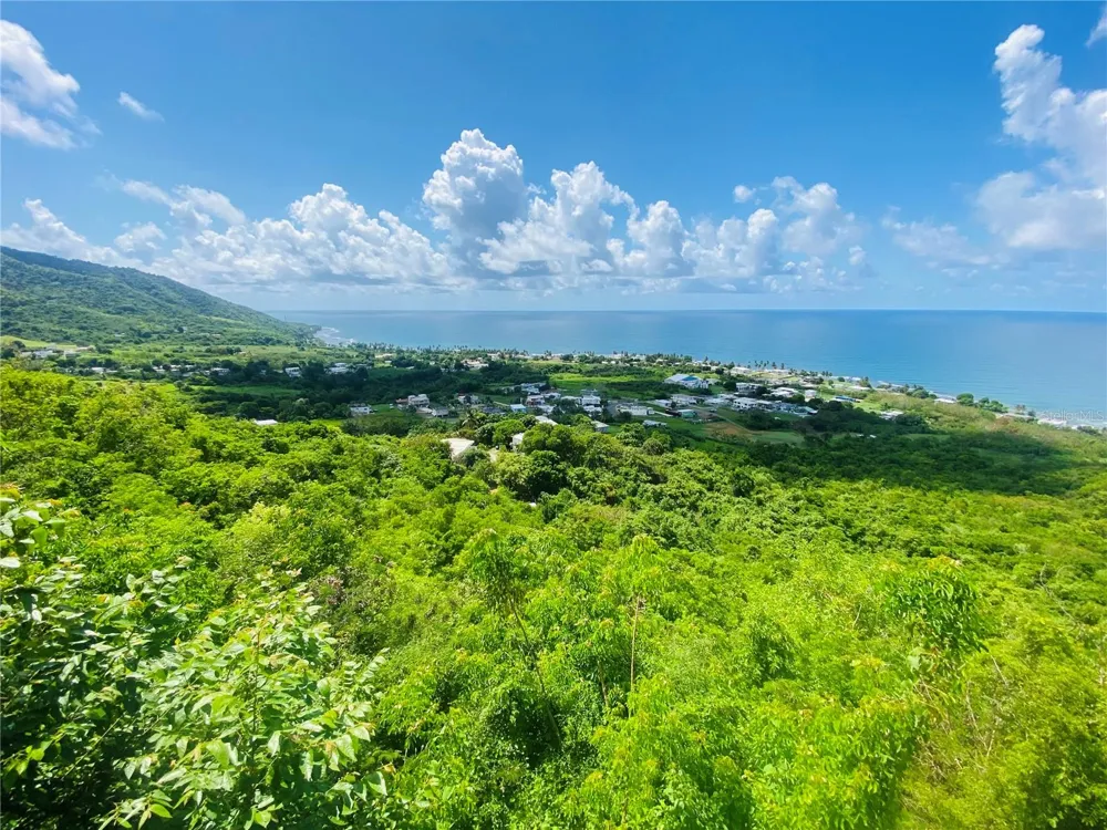 FARM AMAZING OCEAN VIEW Patillas, PR 00723