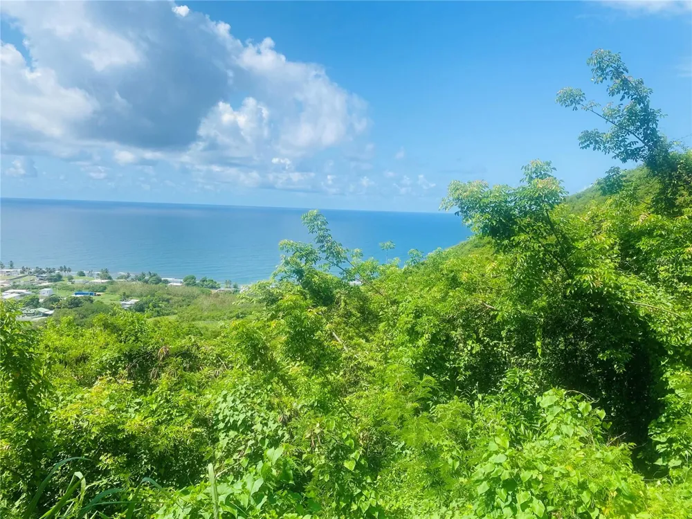 FARM AMAZING OCEAN VIEW Patillas, PR 00723