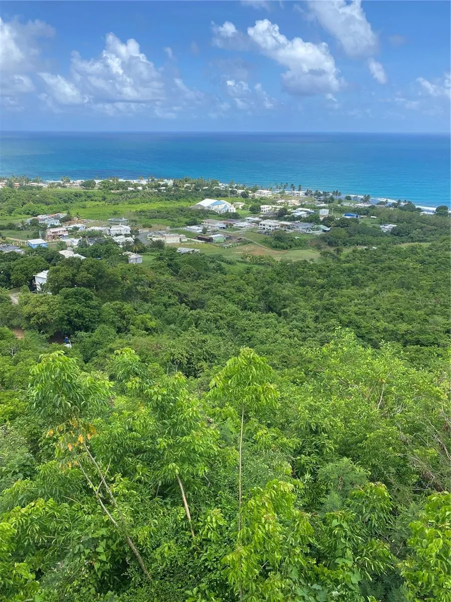 FARM AMAZING OCEAN VIEW Patillas, PR 00723