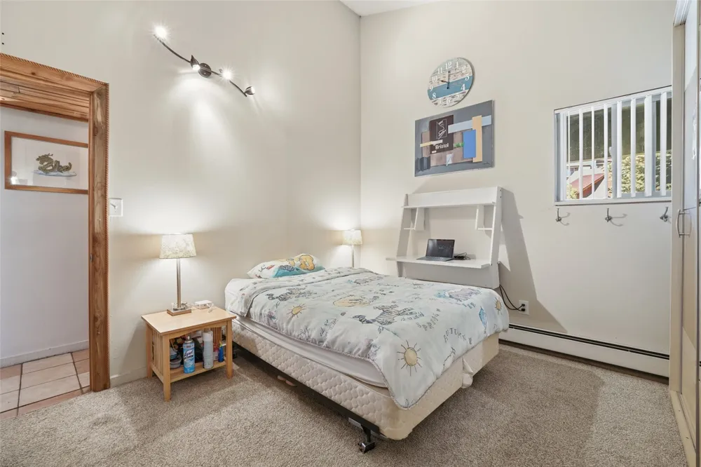 2424 Ryan Gulch Court S #304 Wildernest, CO 80498