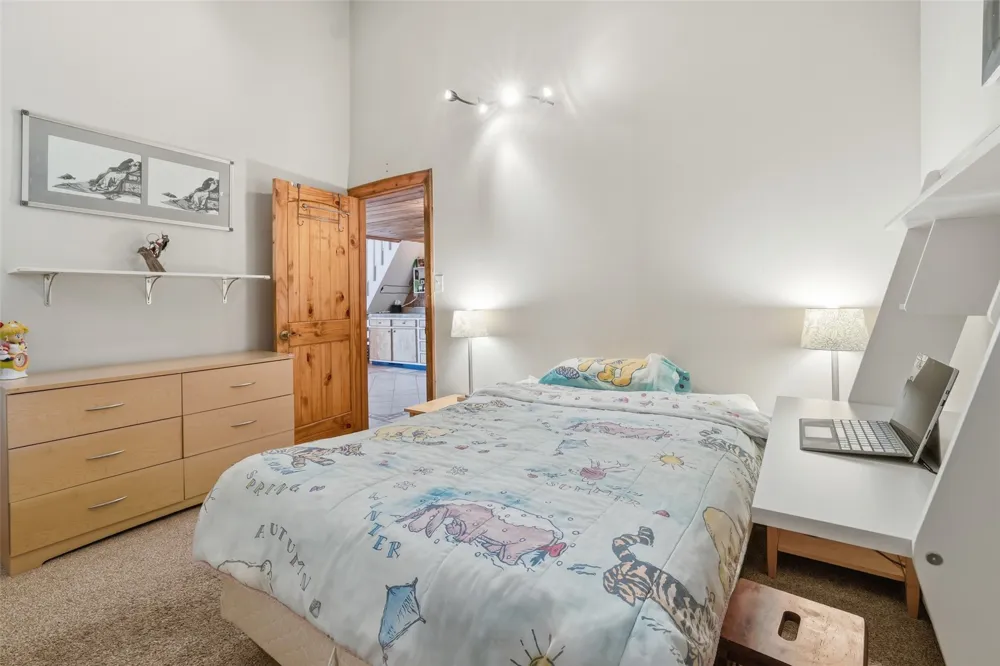 2424 Ryan Gulch Court S #304 Wildernest, CO 80498