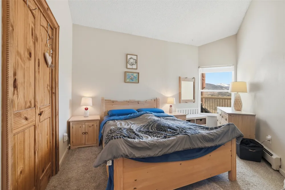 2424 Ryan Gulch Court S #304 Wildernest, CO 80498