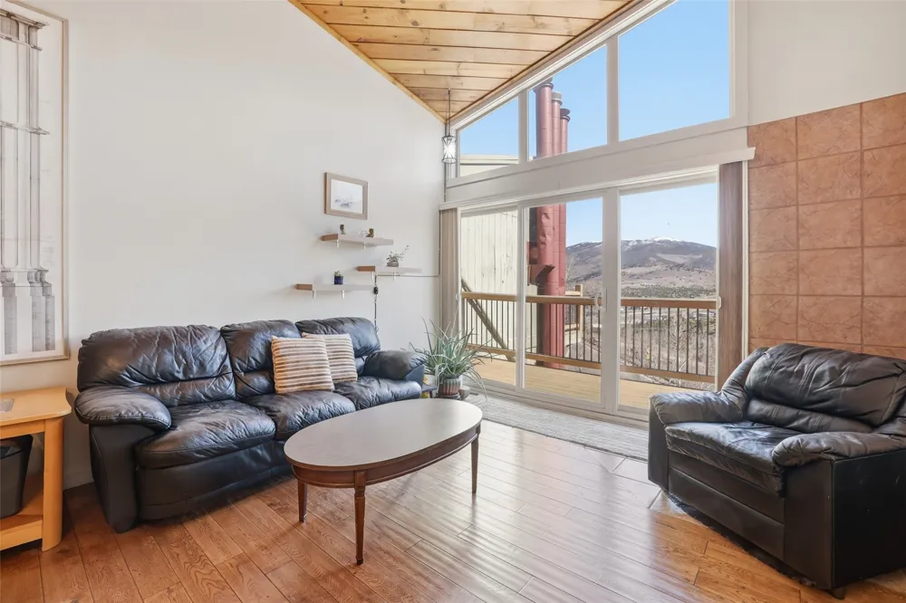 2424 Ryan Gulch Court S #304 Wildernest, CO 80498
