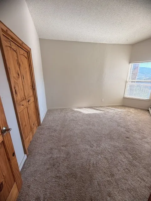 2424 Ryan Gulch Court S #304 Wildernest, CO 80498