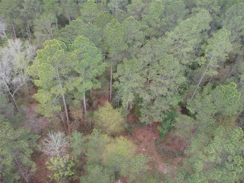 281 Lakeland Ranch Drive