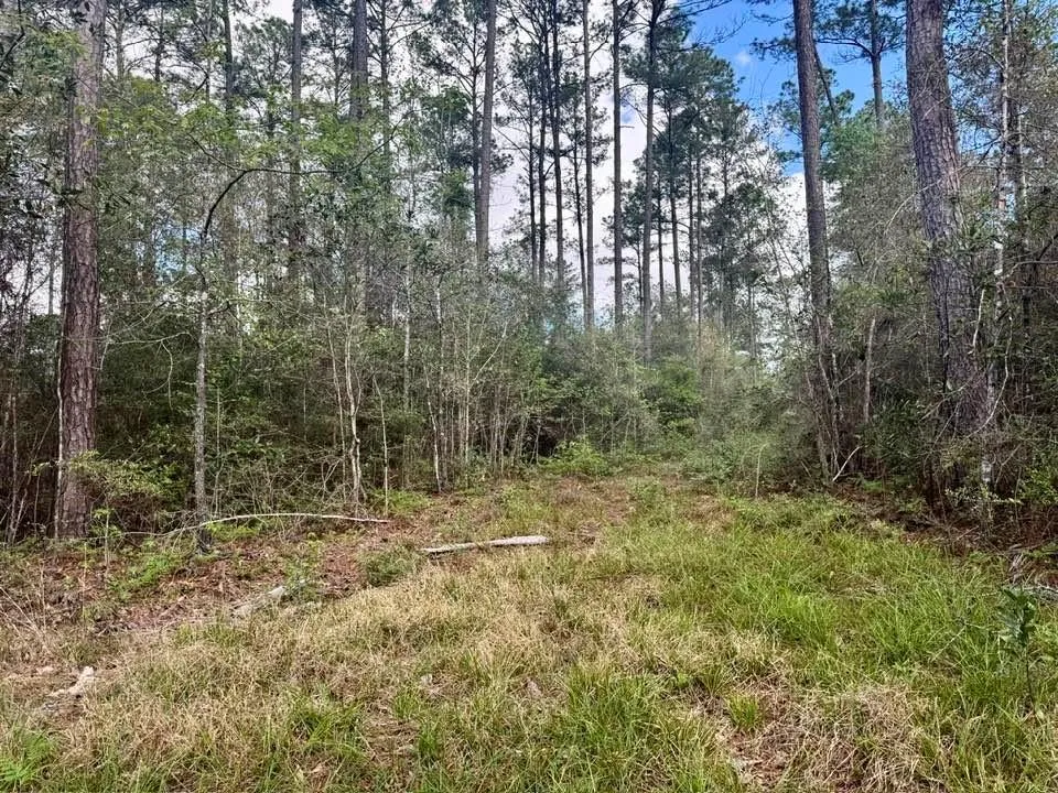 281 Lakeland Ranch Drive Hillister, TX 77624