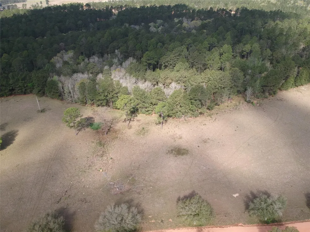 281 Lakeland Ranch Drive Hillister, TX 77624