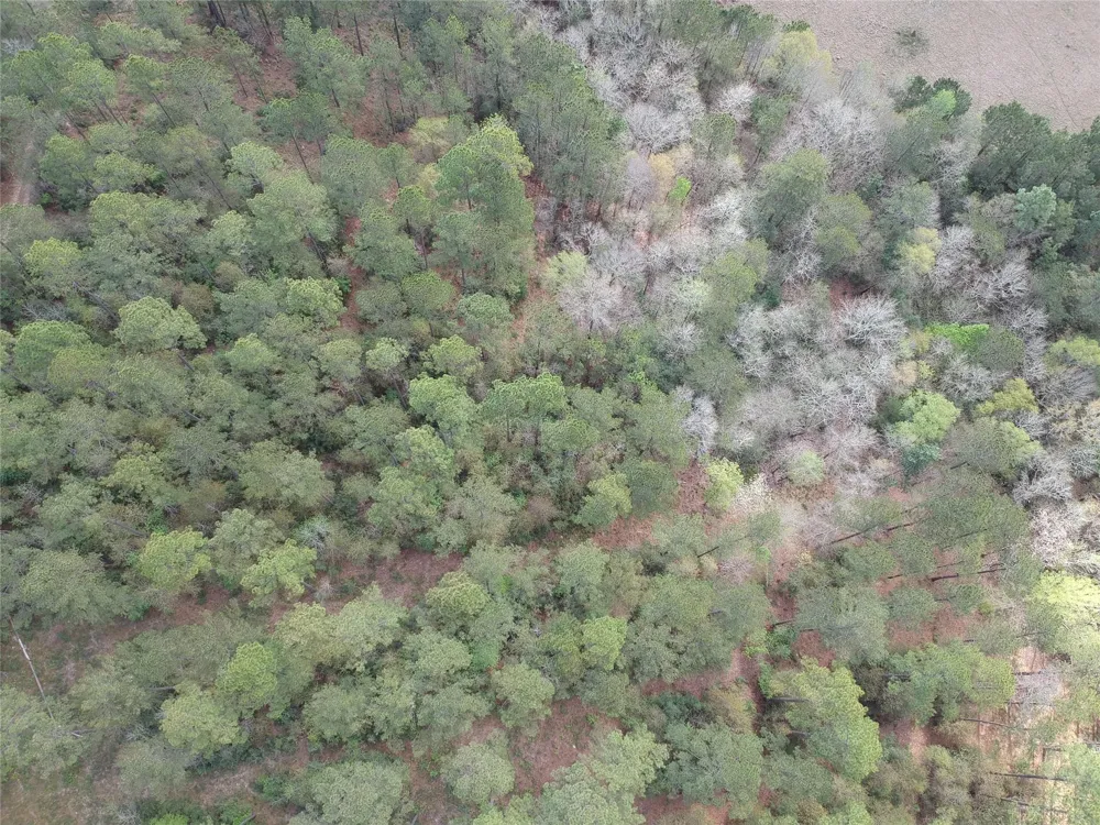 281 Lakeland Ranch Drive Hillister, TX 77624