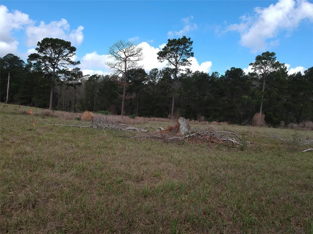281 Lakeland Ranch Drive Hillister, TX 77624