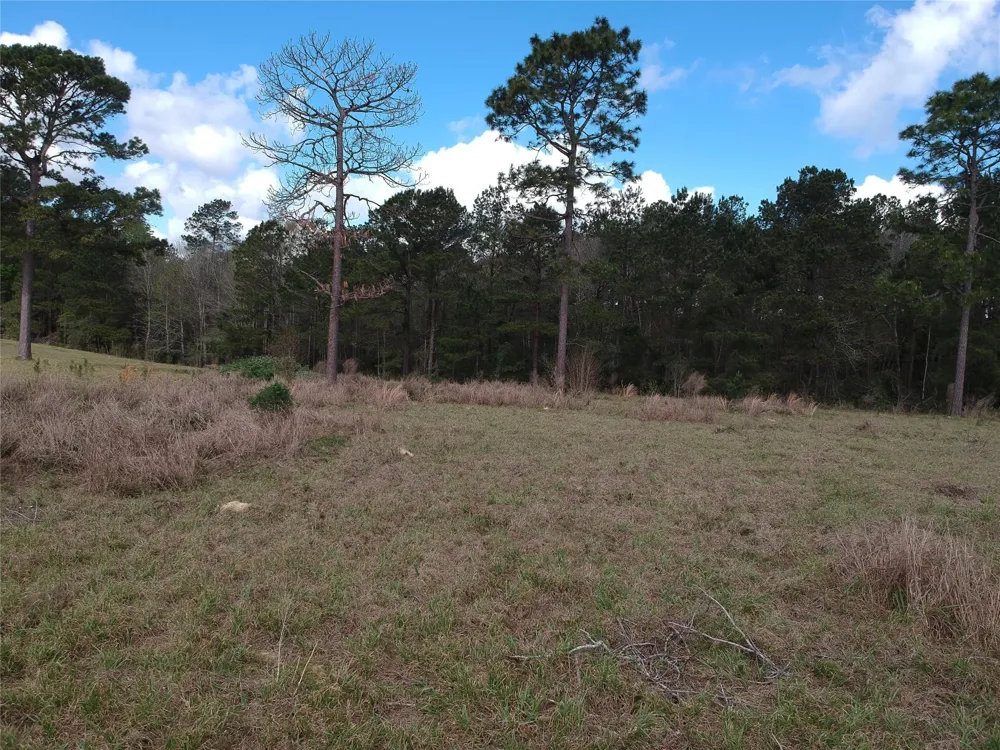281 Lakeland Ranch Drive Hillister, TX 77624