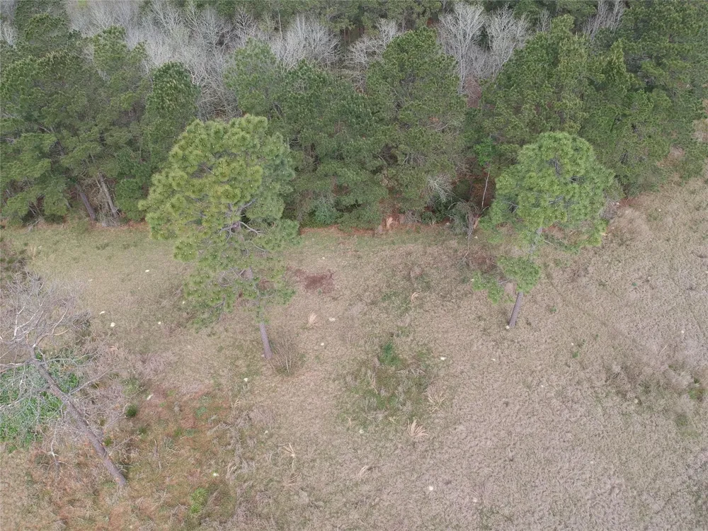 281 Lakeland Ranch Drive Hillister, TX 77624