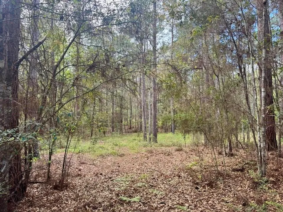 281 Lakeland Ranch Drive Hillister, TX 77624
