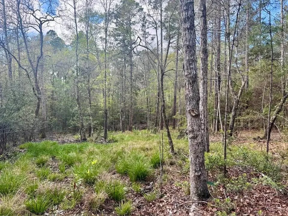 281 Lakeland Ranch Drive Hillister, TX 77624
