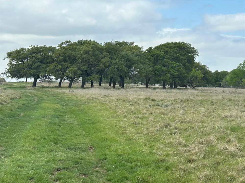 198 County Road 259 Goldthwaite, TX 76844
