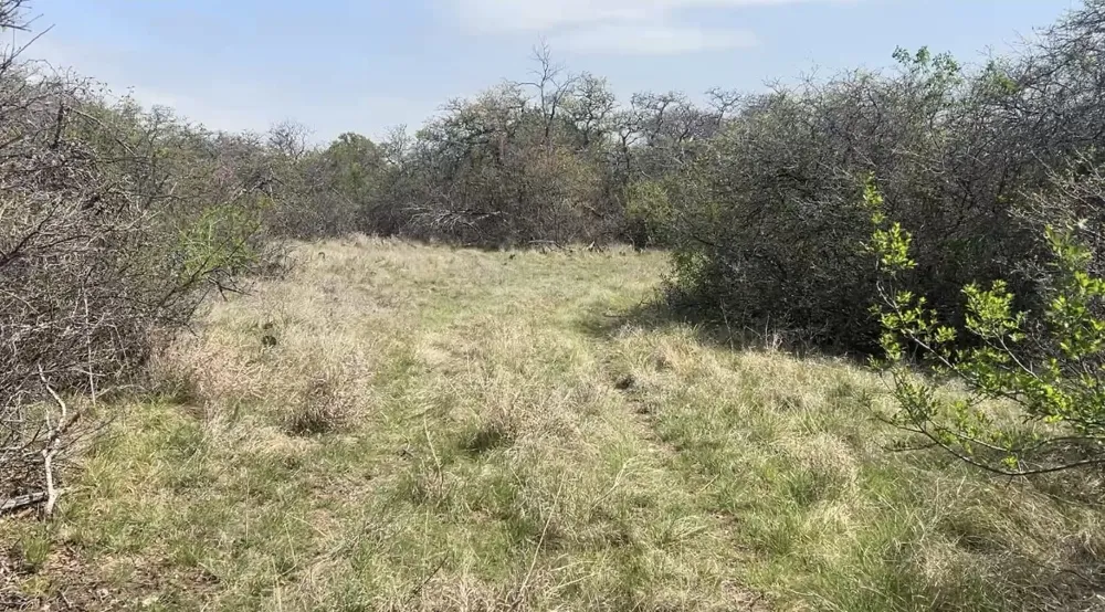 198 County Road 259 Goldthwaite, TX 76844