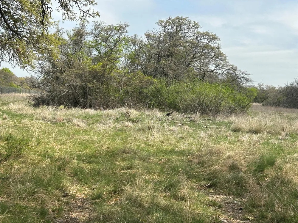 198 County Road 259 Goldthwaite, TX 76844