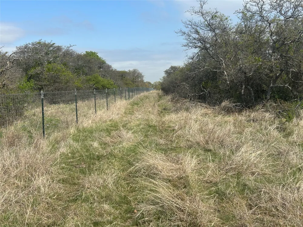 198 County Road 259 Goldthwaite, TX 76844