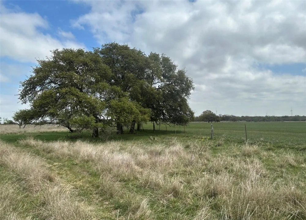 198 County Road 259 Goldthwaite, TX 76844