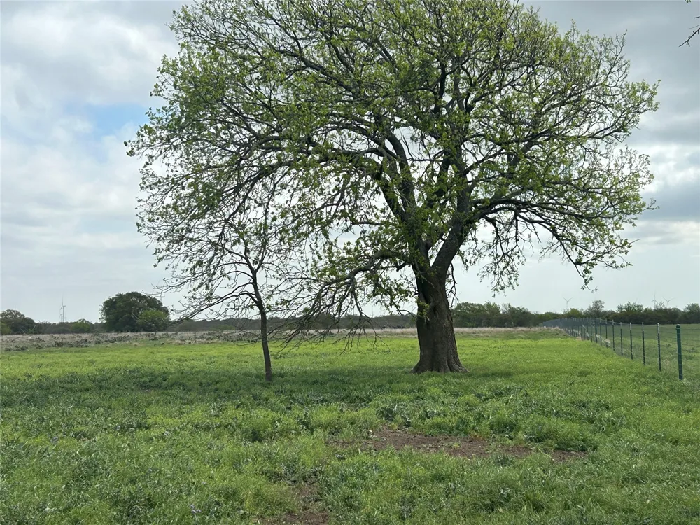 198 County Road 259 Goldthwaite, TX 76844