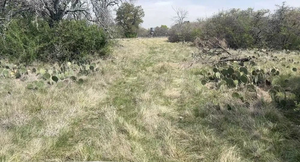 198 County Road 259 Goldthwaite, TX 76844