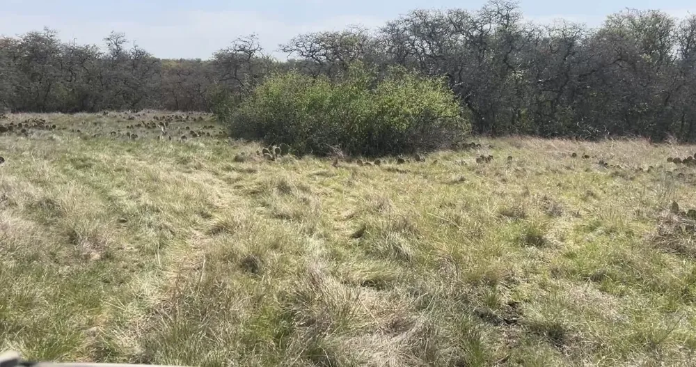 198 County Road 259 Goldthwaite, TX 76844