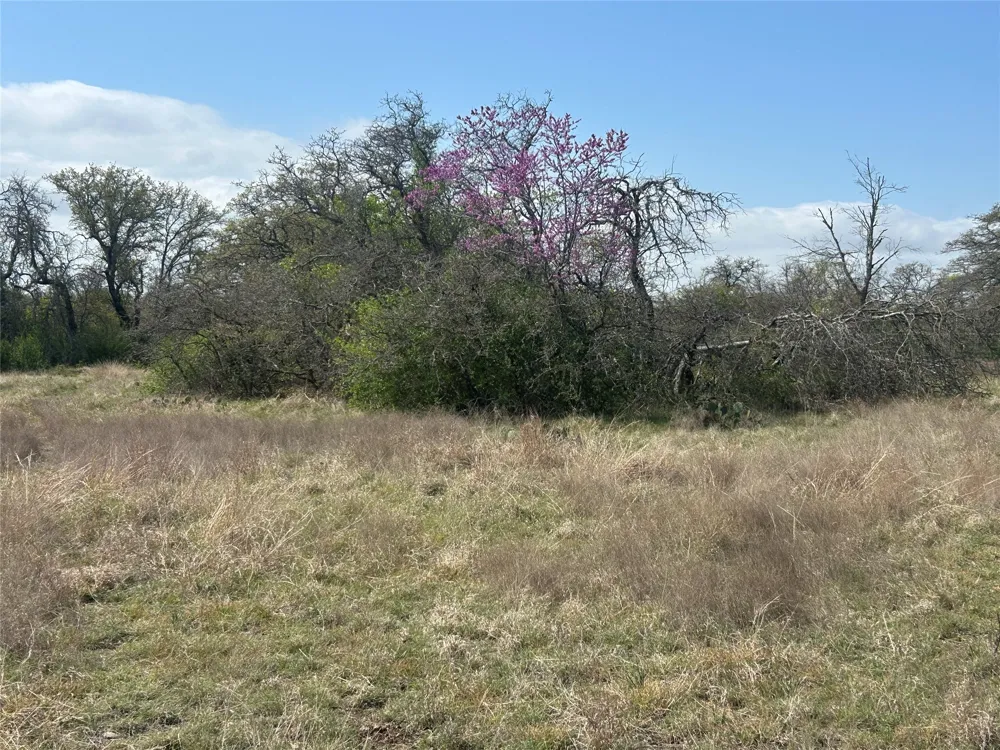 198 County Road 259 Goldthwaite, TX 76844