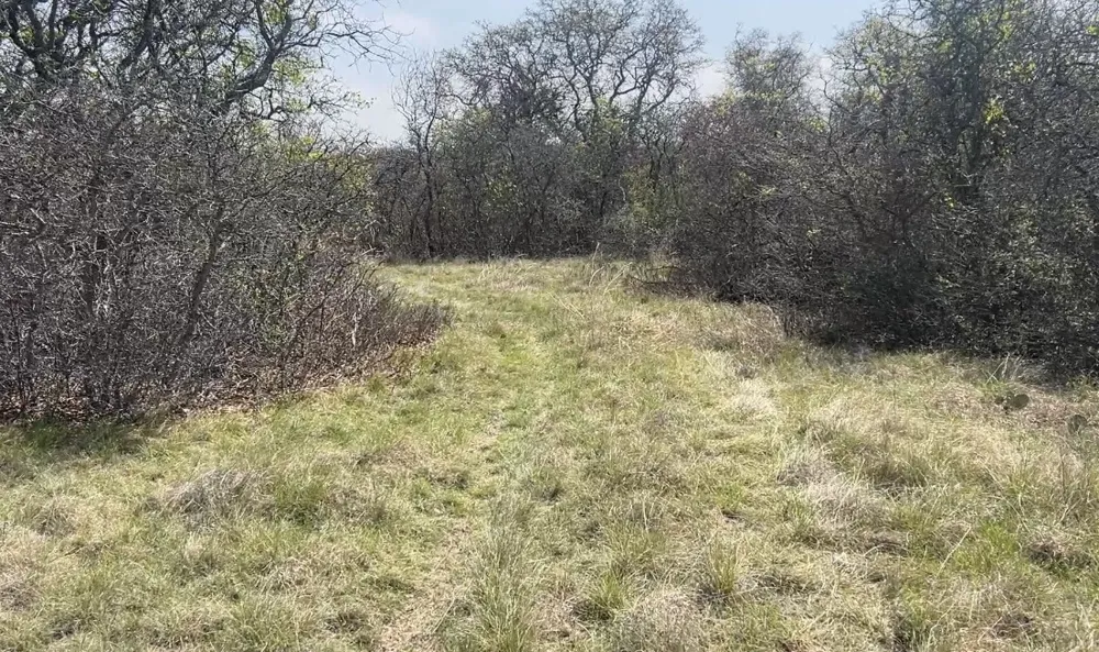198 County Road 259 Goldthwaite, TX 76844