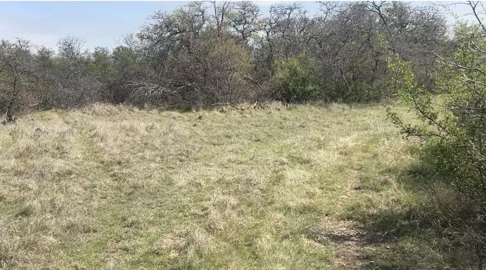 198 County Road 259 Goldthwaite, TX 76844