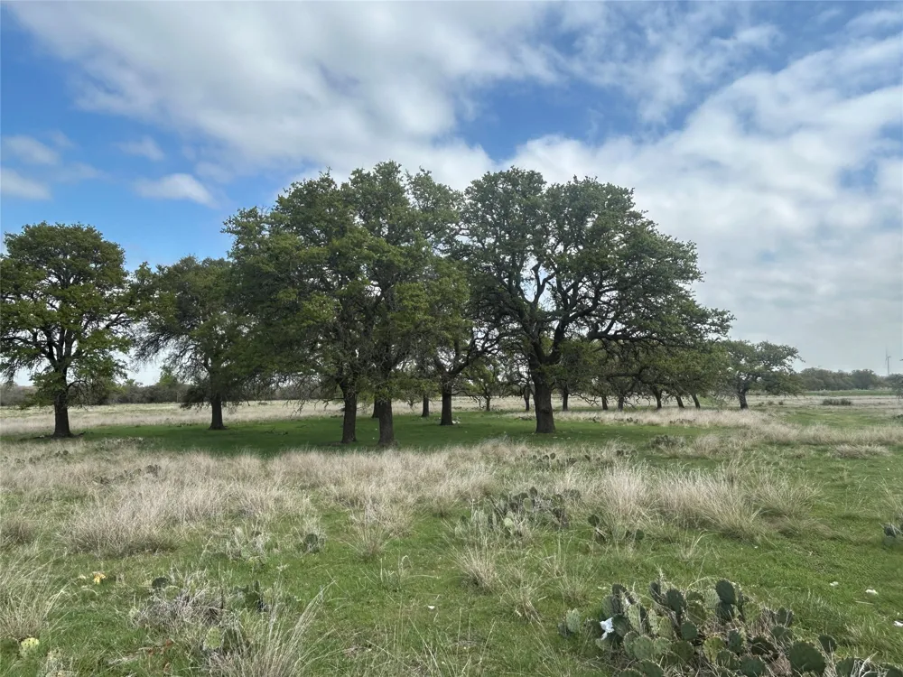 198 County Road 259 Goldthwaite, TX 76844